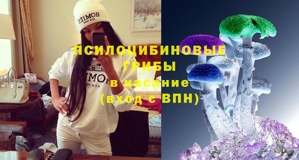 дживик Верея