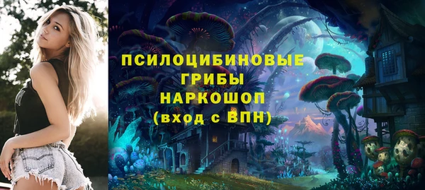 марки nbome Бородино