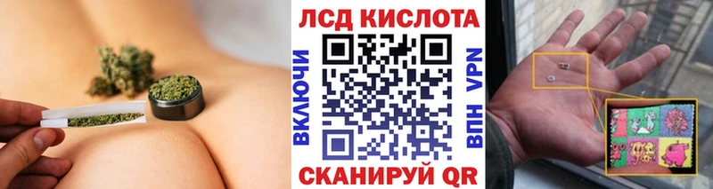даркнет телеграм Семёнов Марки 25I-NBOMe 1500мкг
